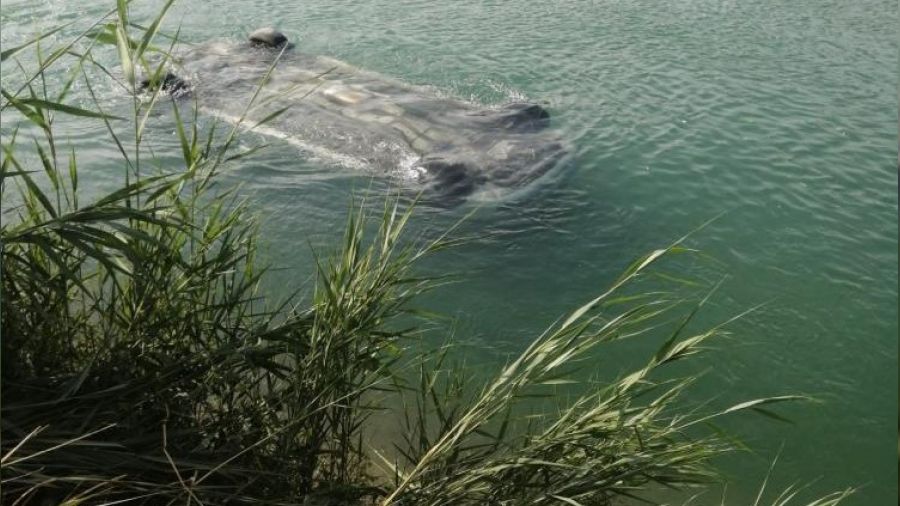 Sulama kanal�na d��en ara�ta 3 ki�i can verdi