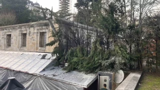 Tarihi Sultanahmet Camisinin altndaki arda yangn kt