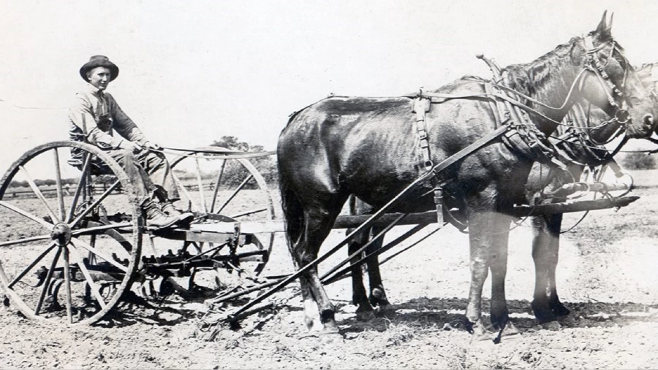 Tar�m aletlerinin zaman yolculu�u