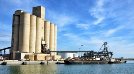 Tarım, gıda ve içecek sektöründe dış ticaret fazlası düşüşte