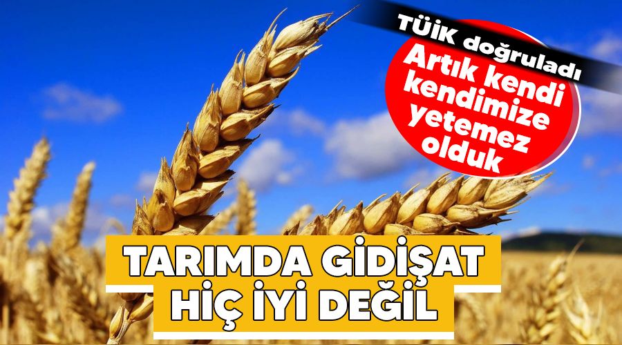 Tarımda gidişat hiç iyi değil