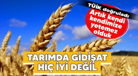Tarımda gidişat hiç iyi değil