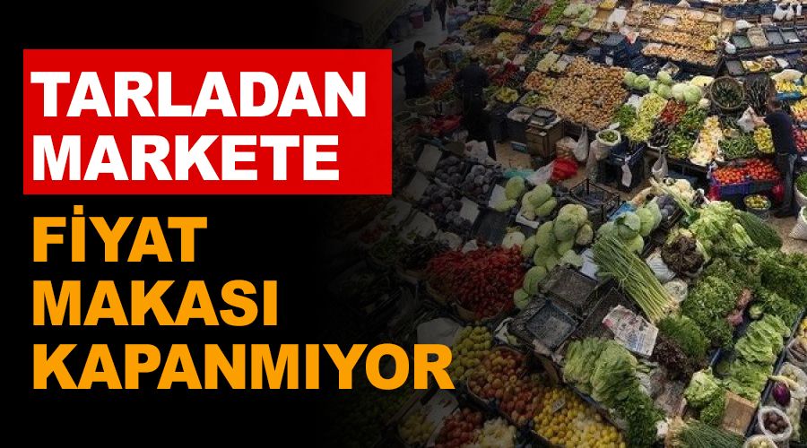Tarladan markete fiyat makası kapanmıyor