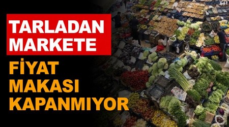 Tarladan markete fiyat makası kapanmıyor