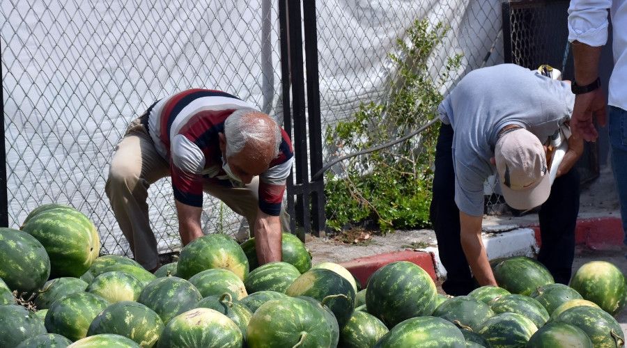 Tarsus Belediyesi, 15 ton karpuzu halka cretsiz datt