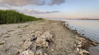 Tatvan sahilinde mikrobiyalit ve adacklar ortaya kt