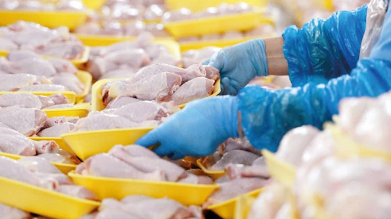 Tavuk eti ihracat aylk 10 bin tonla snrlandrld