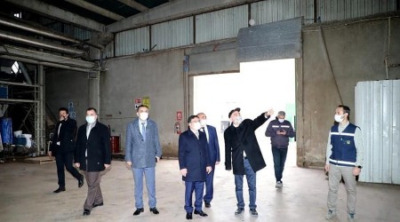 Tavuk gübresi elektrik enerjisine dönüşüyor
