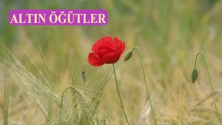 Tefekkür, basiret sahibi yapar