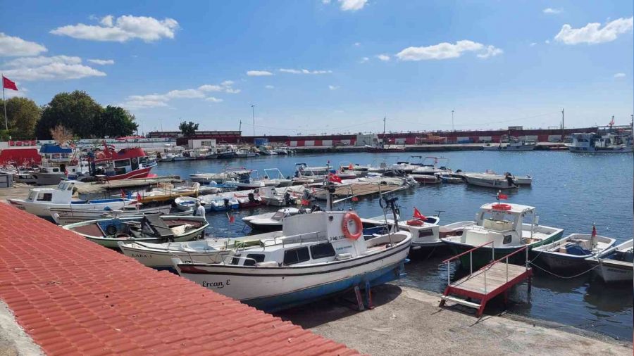 Tekirdağ'da 1 Eylül hevesine nazar değdi: Balıkçılara poyraz engeli