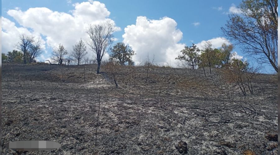 Tekirda�'da yang�n