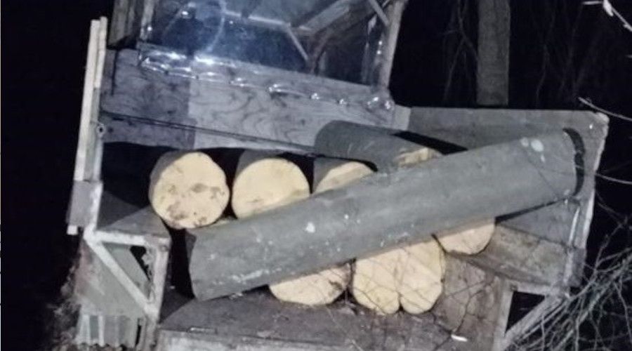 Tescilsiz tarım aletine yüklediği ağaçlarla yakalandı