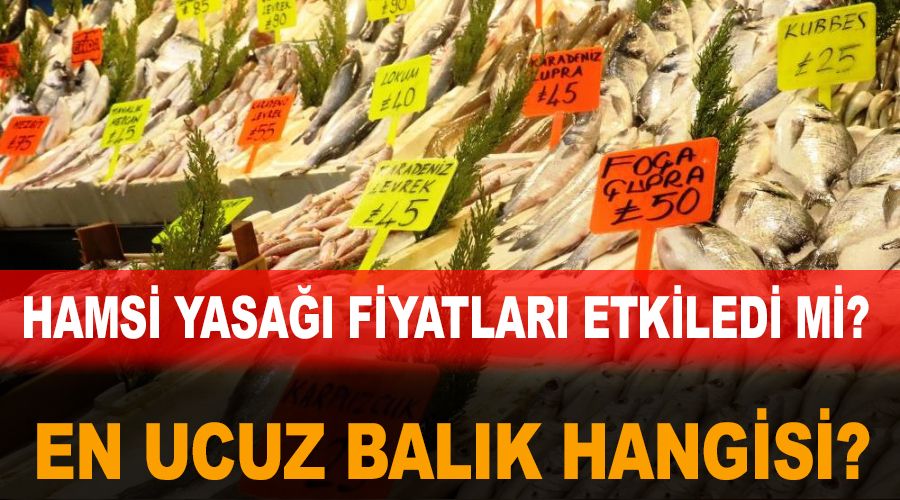 Tezgahtaki en ucuz bal�k hangisi?