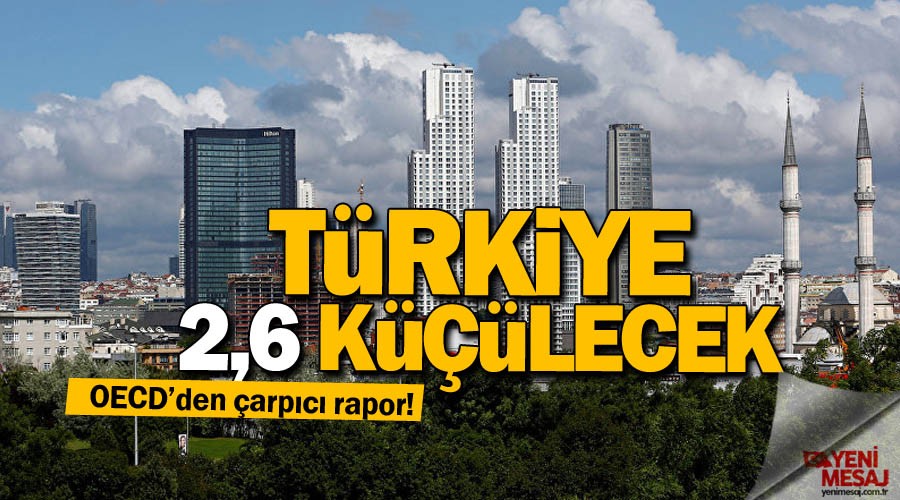 Türkiye ekonomisi yüzde 2.6 küçülecek