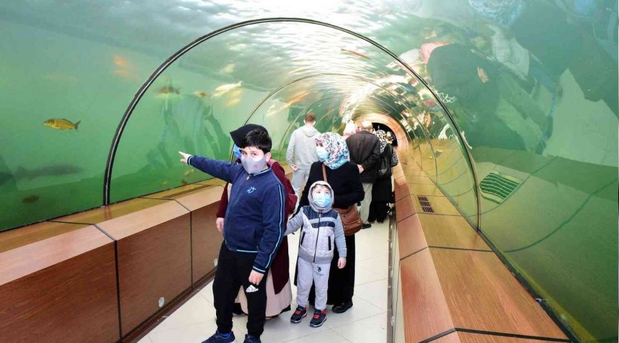 Türkiye'nin en büyük tatlı su tünel akvaryumu
