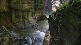 Trkiye'nin ilk tescilli doa harikas: Samandere elalesi 