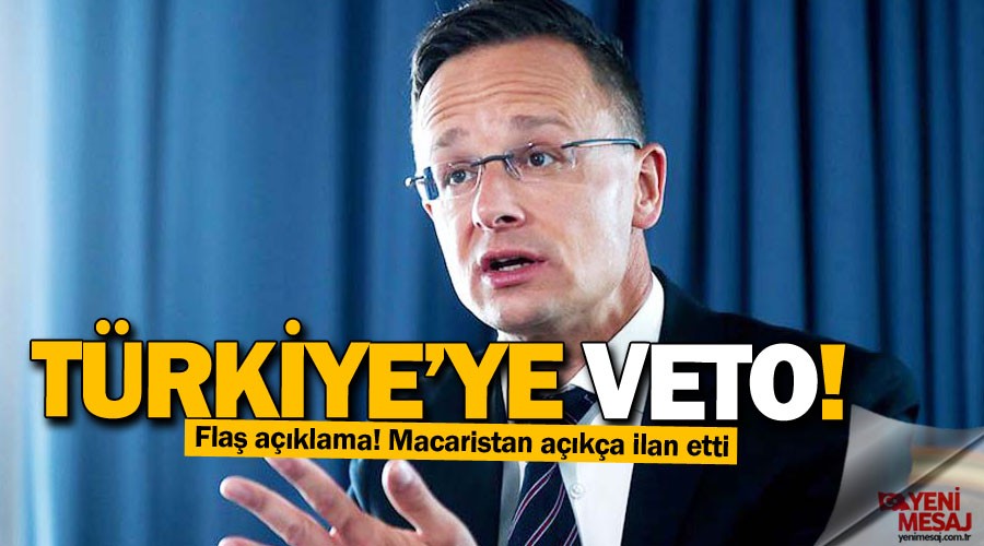 Türkiye'nin üyeliği kesin veto edilecek