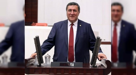 Ülke genelinde 133 altın madeni ruhsatı verilmiş