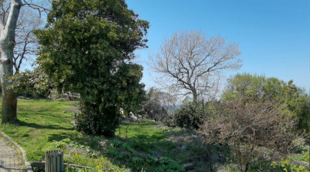niversite rencisi kz ormanlk alanda l bulundu