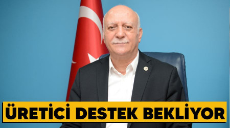 Üretici destek bekliyor