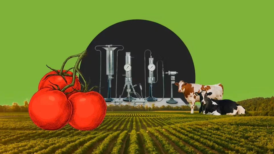 �retim ve verimlilik -1-