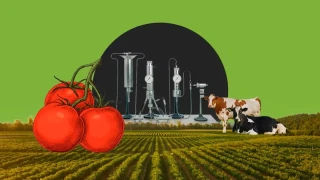 �retim ve verimlilik -1-