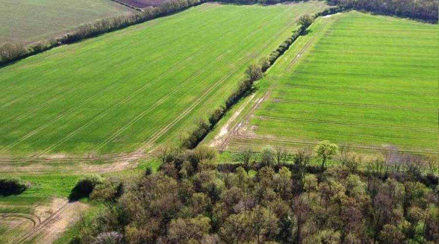 U�ak E�me'de icradan sat�l�k 4.320 m� tarla 