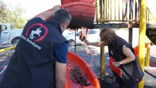 Vandallar ocuk oyun parkn yakt