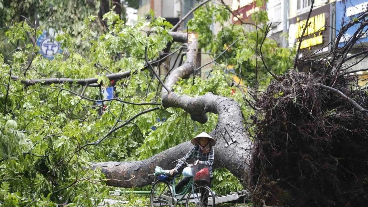 Vietnam'da Yagi Tayfunu nedeniyle ölenlerin sayısı 59'a çıktı