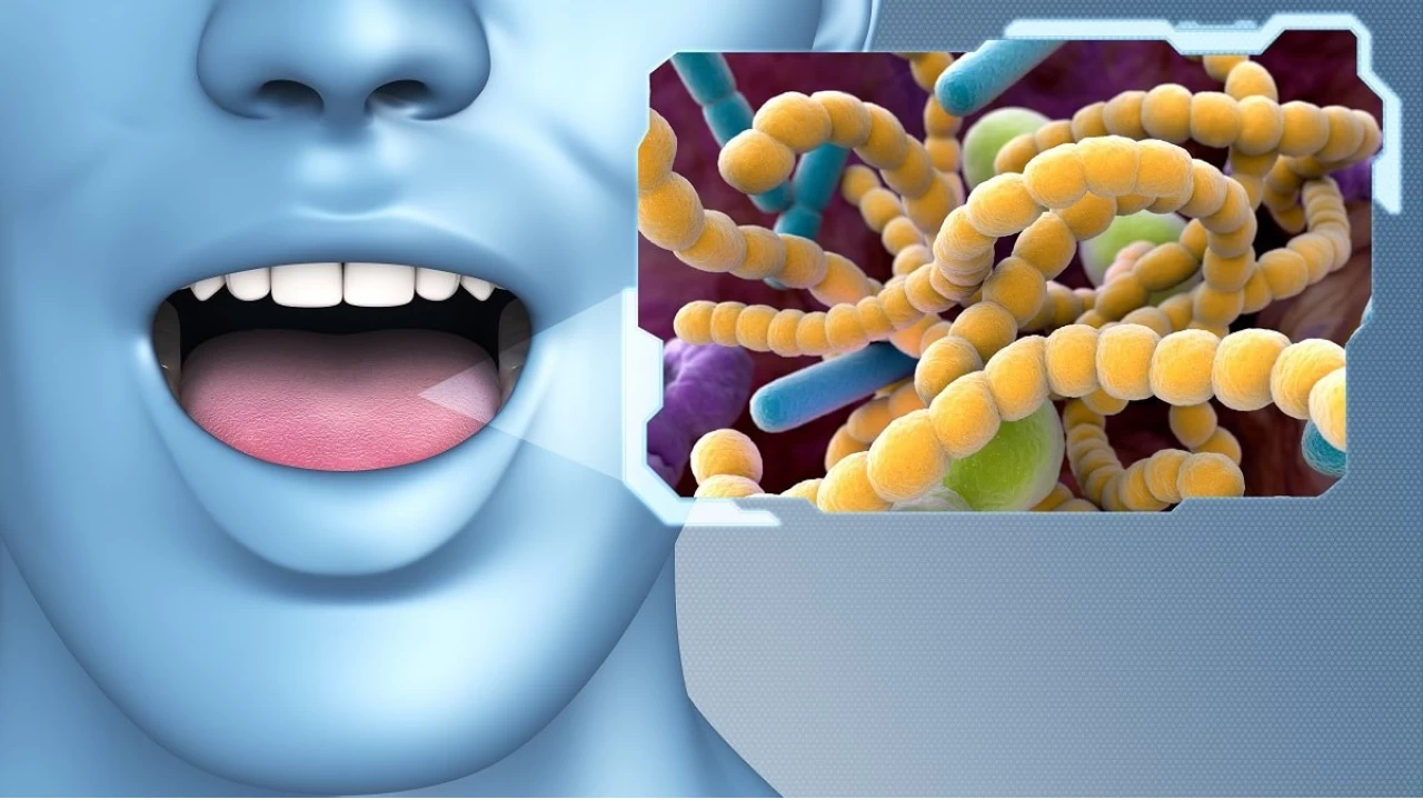 V�cudun �lk Temas Noktas� A��z Sa�l�k ��in �nemli  