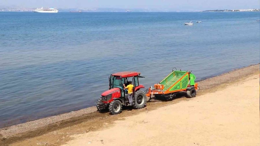 Yalova Çiftlikköy'de yosunlar gübreye dönüşüyor
