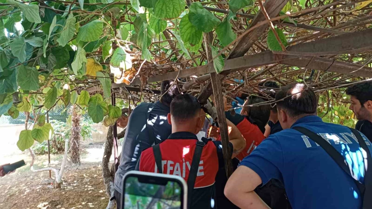 Yalova'da 5'inci kattan d��en �ocu�u kivi asmas� kurtard�