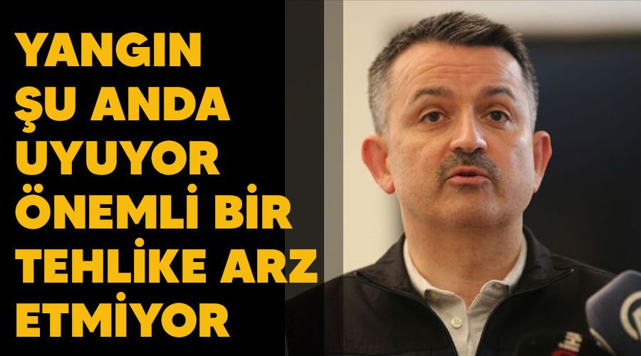 Yang�n �u anda uyuyor, �nemli bir tehlike arz etmiyor