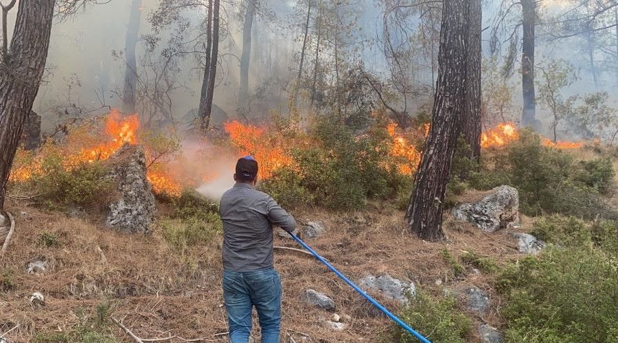 Yangınları söndürmek için seferber oldular