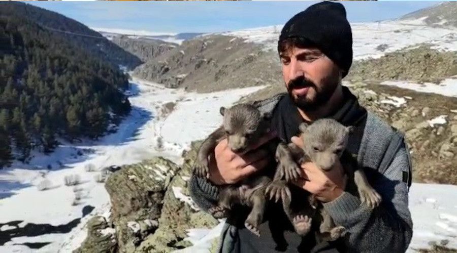 Yavru ay�lar� ma�aras�nda besledi