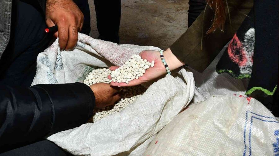Yerli kuru fasulyeyle çiftçiye 1,5 milyon liralık destek