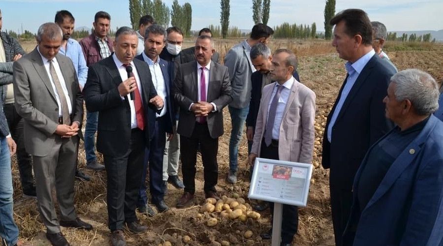 Yerli ve milli patates �ift�ilere tan�t�ld�