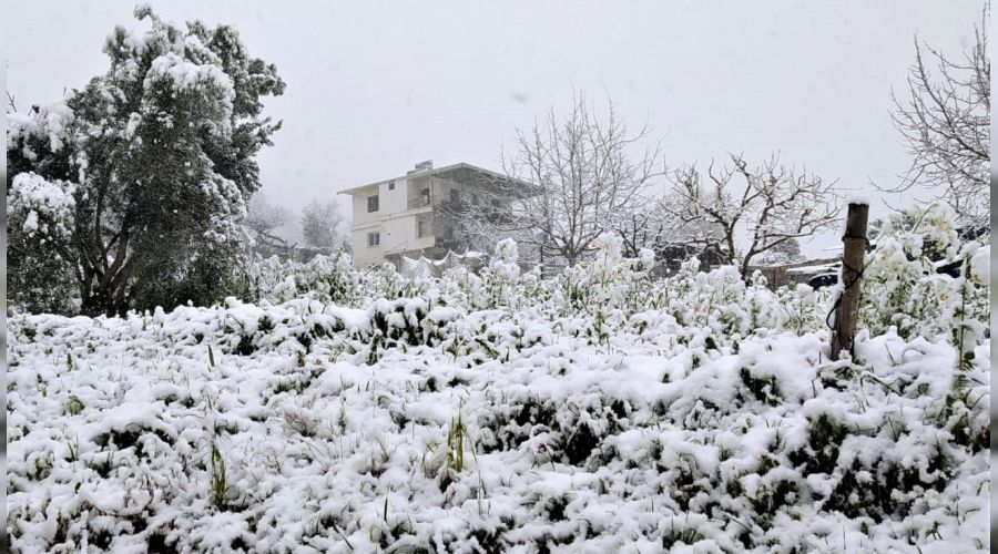 Yurdu etkisi altna alan kar Mersin'e ulat