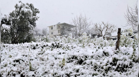 Yurdu etkisi altna alan kar Mersin'e ulat