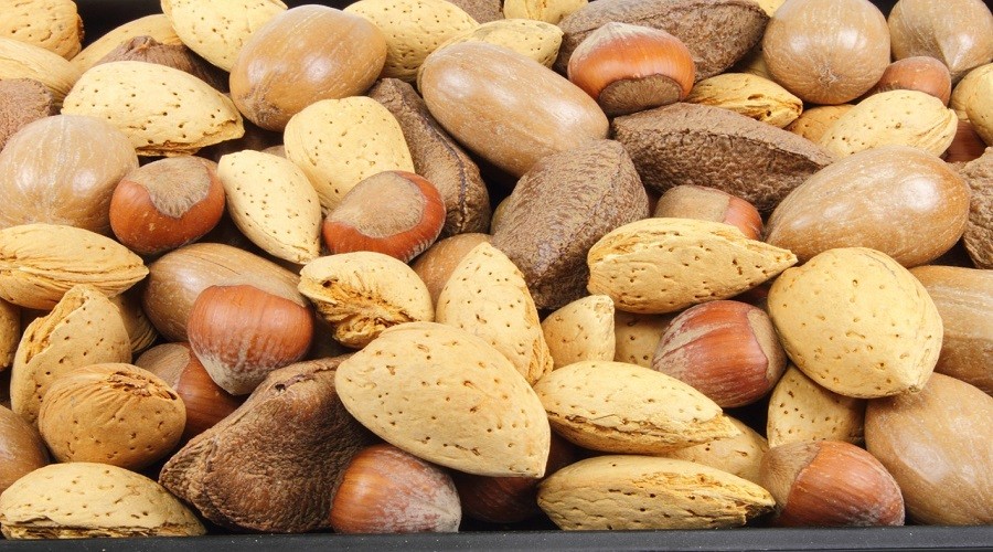 Zaten tazesi de yeni çıkmıştı