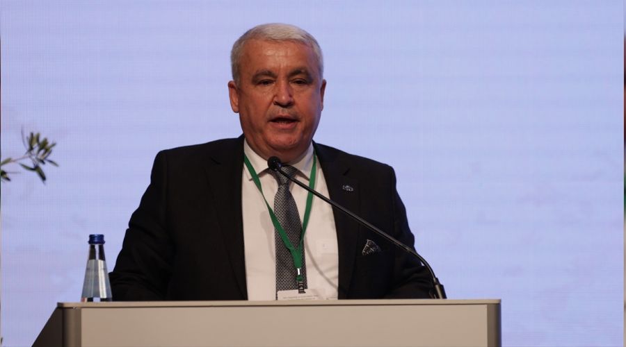 Zeytinde de alarm zilleri çalıyor