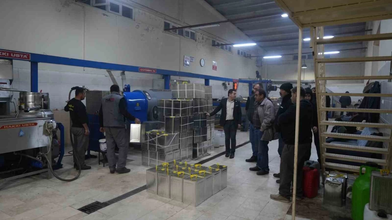 Zeytinyağı fiyatı üreticinin yüzünü güldürdü