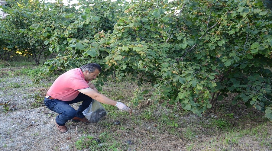 Zonguldakl� k�yl�m�z�n sa� k�llar�yla buldu�u ��z�m �a��rtt�