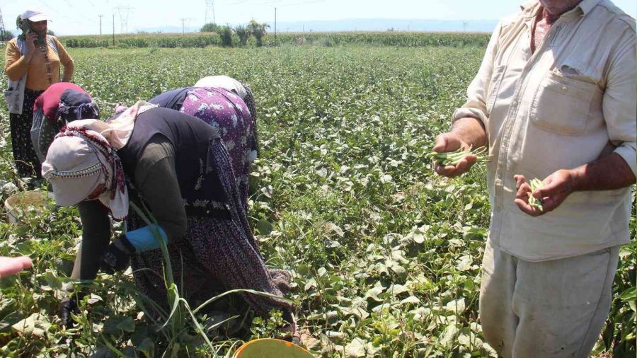 10 kilometrelik mesafede fiyatı iki katına çıkıyor