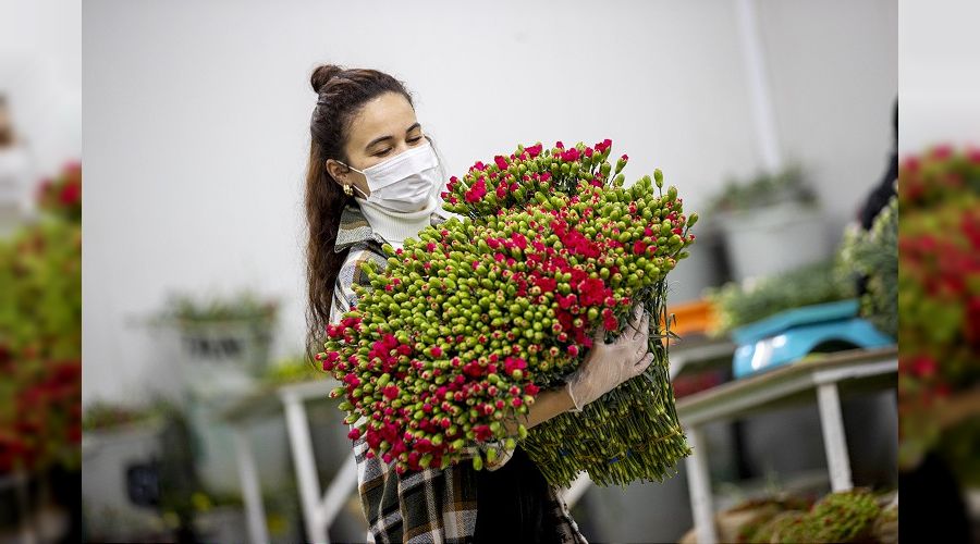 14 �ubat, �i�ek ihracat�na yarad�