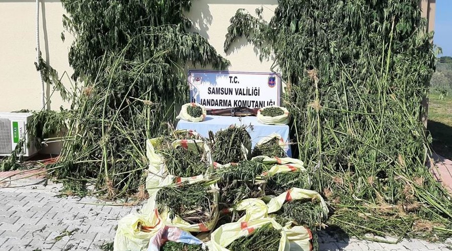 147 kilo esrar ele geçirildi