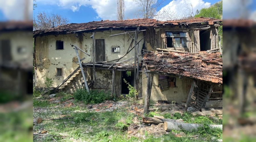  150 y�ll�k hizar h�l� ayakta