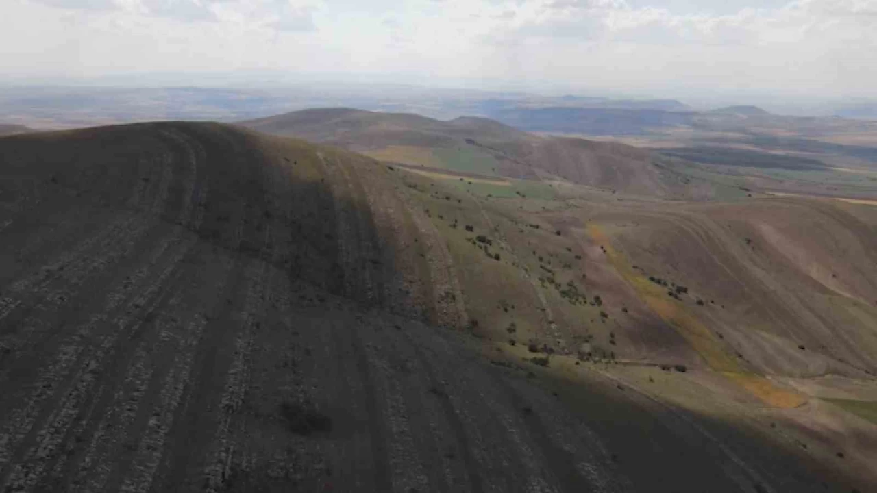 2 g�nde 82 subay ve 900 erin �ehit oldu�u �al Da��