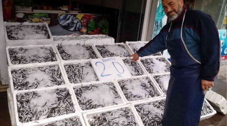 20 Liraya düşen hamsi kapış kapış gitti