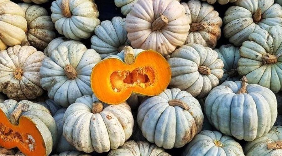 2020'de D�zce'de en �ok bal kaba�� �retildi